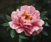 unknow artist Realistic Pink Rose China oil painting reproduction